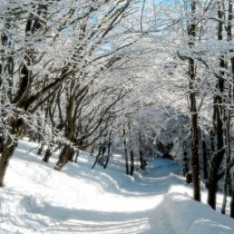 Артём, Советский